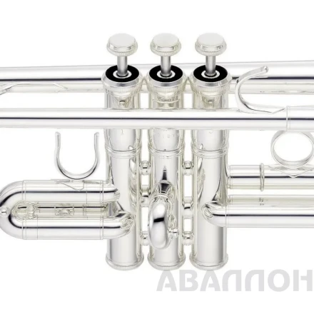 Превью 5