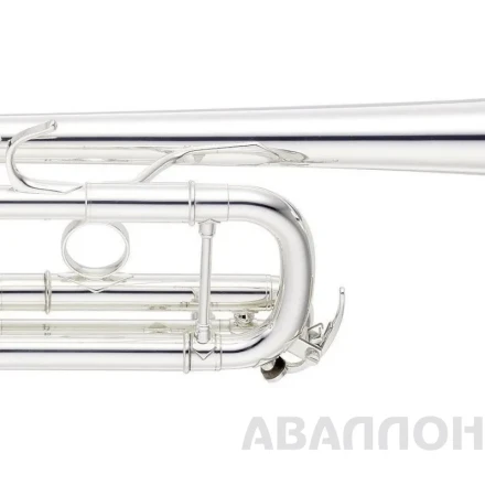 Превью 7