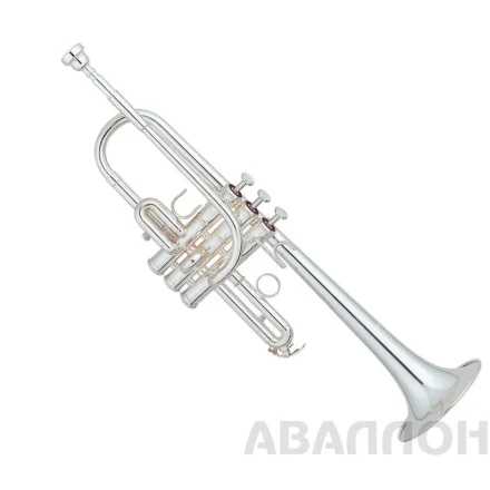 Превью 2