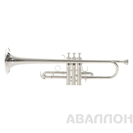 Превью 5