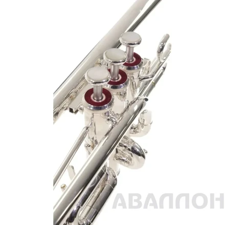 Превью 6
