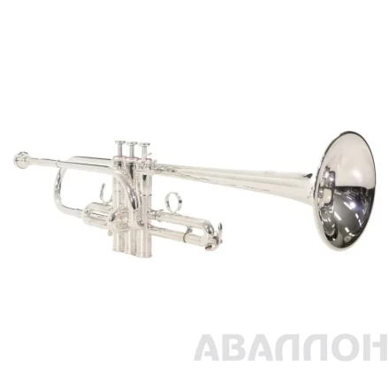 Превью 8