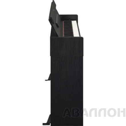 Превью 4