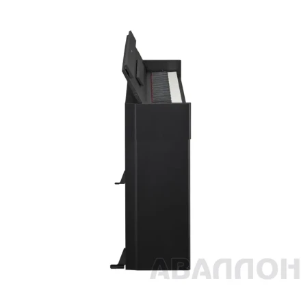 Превью 6