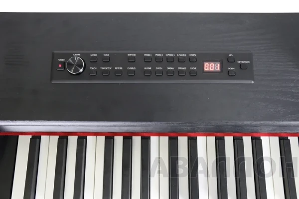 Превью 5