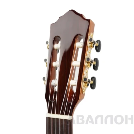 Превью 4