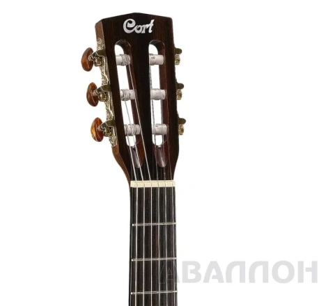 Превью 4