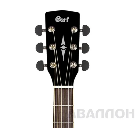Превью 5