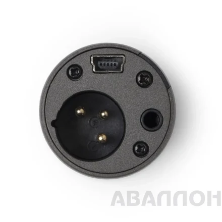 Превью 5