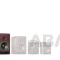 Изображение ZPA21MS-B 2