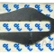 Изображение DWSM51WF 2