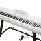 Изображение DP-121HF-WH PC 5