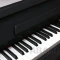 Изображение DP-17-H-BK PC 5