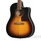Изображение EE2SVSNH3 EPIPHONE 2