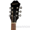 Изображение EE2SVSNH3 EPIPHONE 4