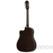 Изображение EE2SVSNH3 EPIPHONE 5