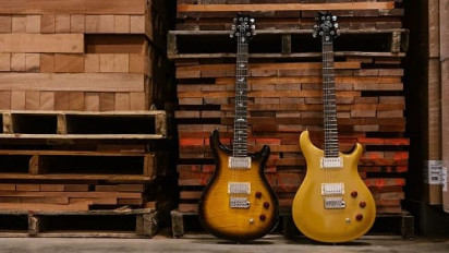 Гитаристы назвали PRS SE DGT 