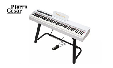 Цифровое фортепиано Pierre Cesar M430