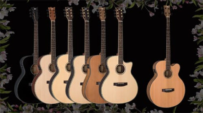 Новинка: электроакустика ESP LTD