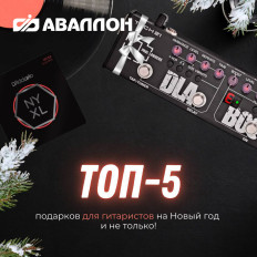 Что подарить гитаристу?