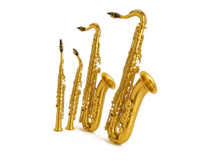 Виды саксофонов и их особенности