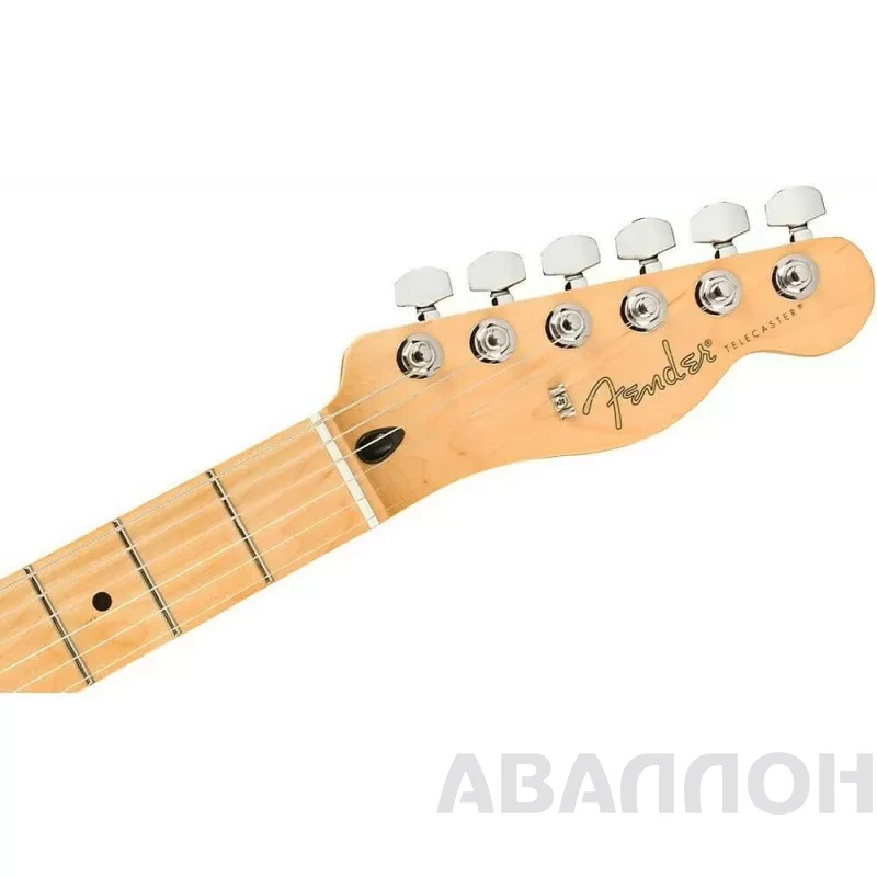 Увеличенное изображение 8