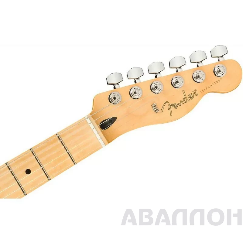 Увеличенное изображение 8