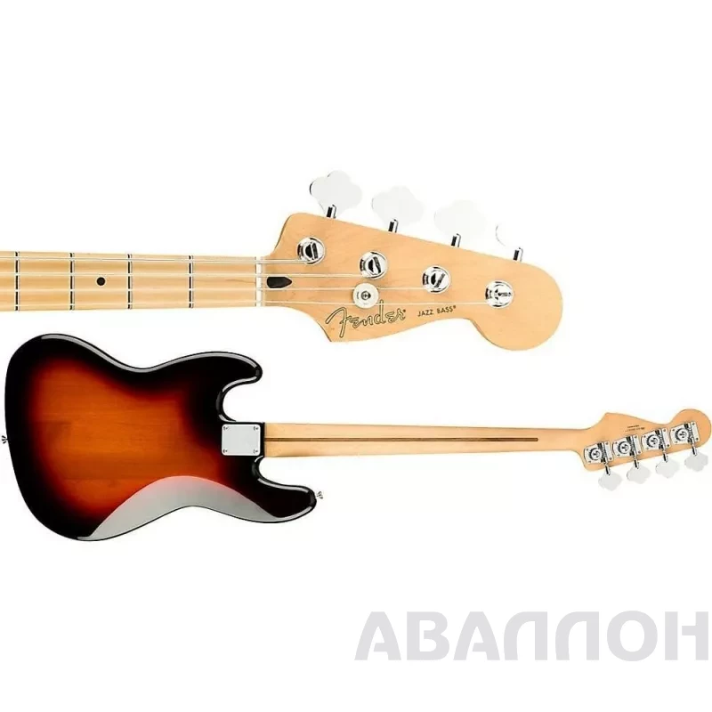 Увеличенное изображение 3