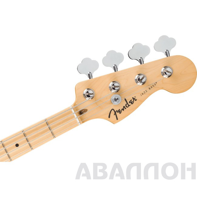 Увеличенное изображение 4