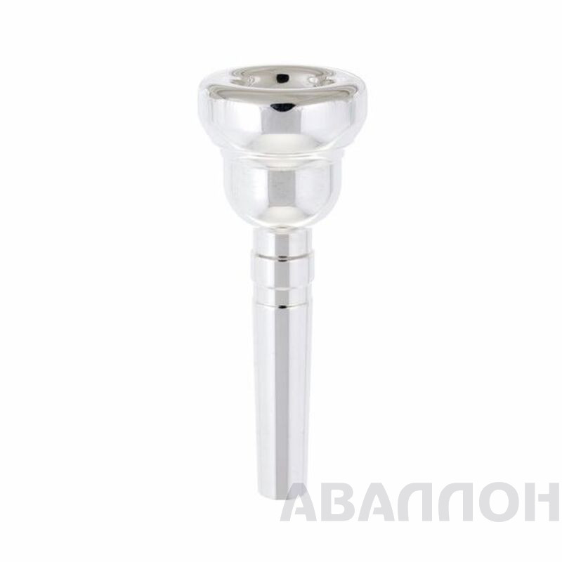 Увеличенное изображение 2