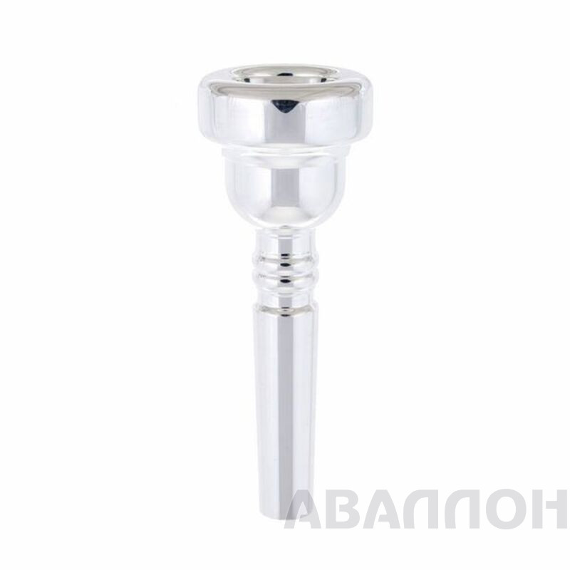Увеличенное изображение 2