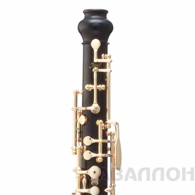 Увеличенное изображение 2