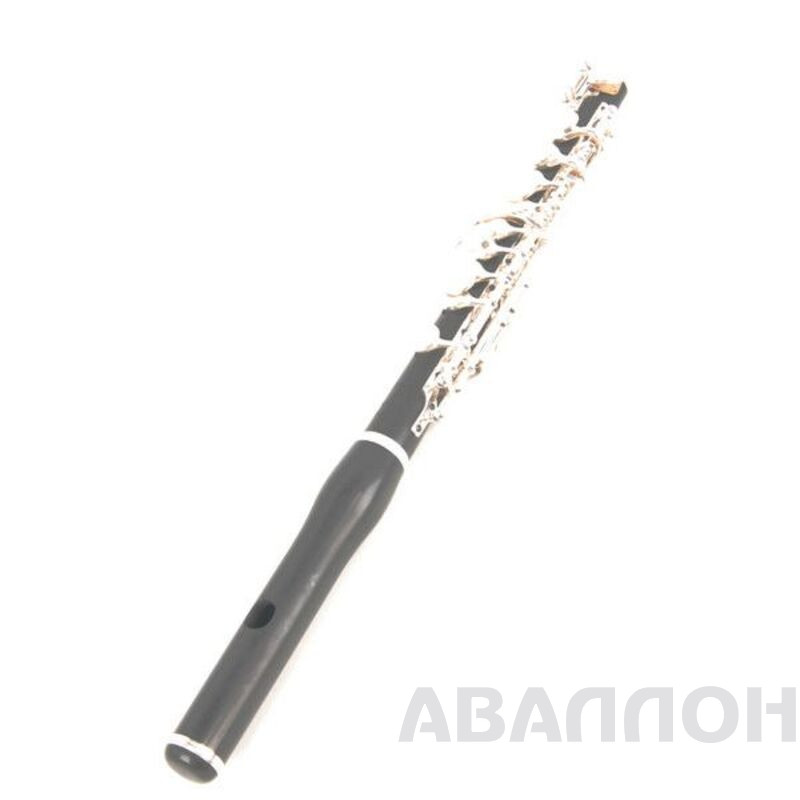 Увеличенное изображение 2