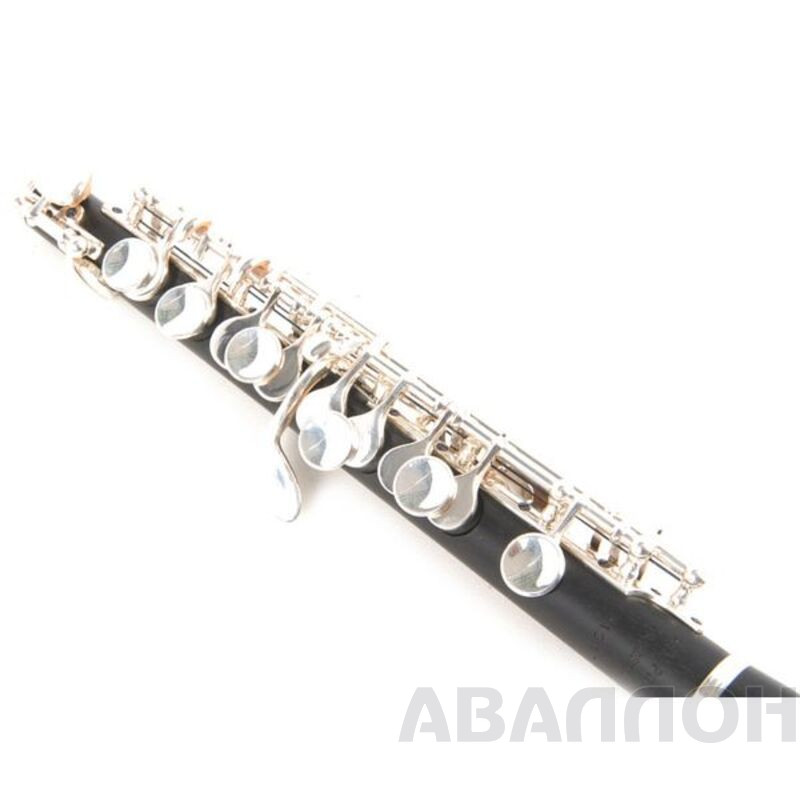 Увеличенное изображение 5