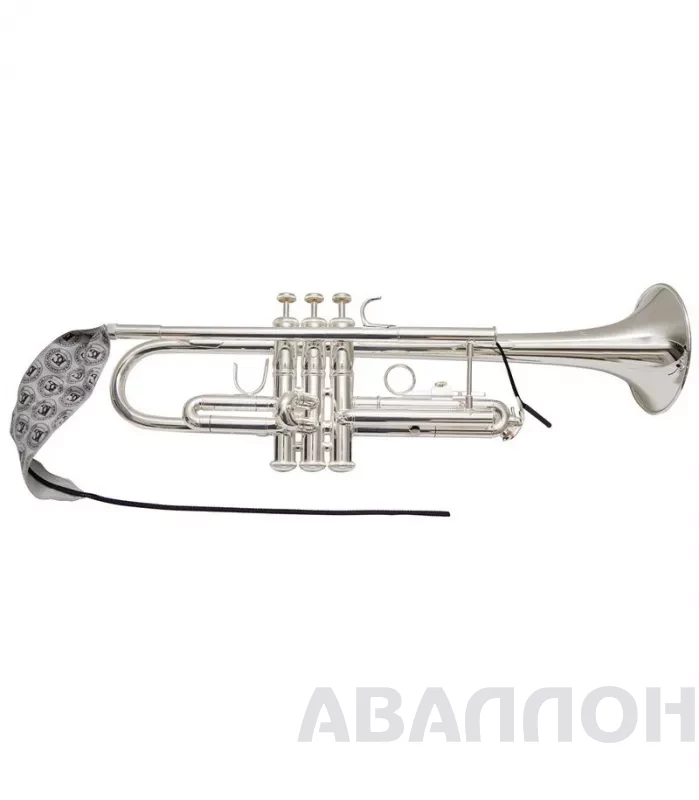 Увеличенное изображение 5