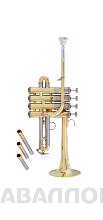 Увеличенное изображение 2