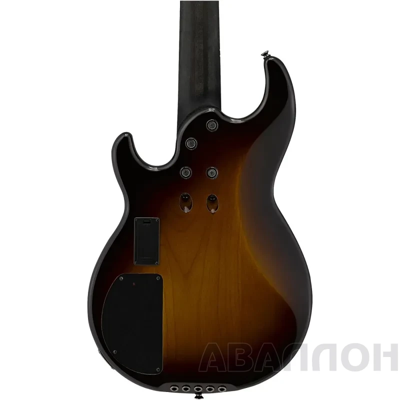 Увеличенное изображение 5