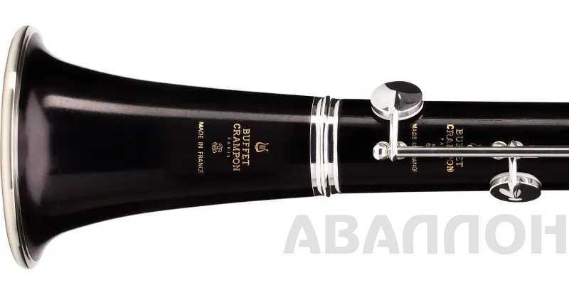 Увеличенное изображение 5