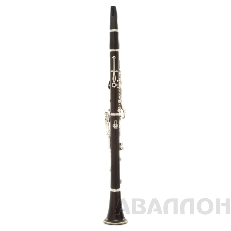 Увеличенное изображение 2