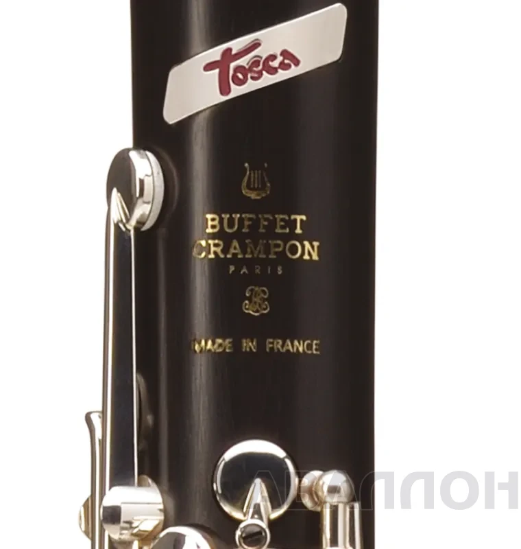 Увеличенное изображение 5