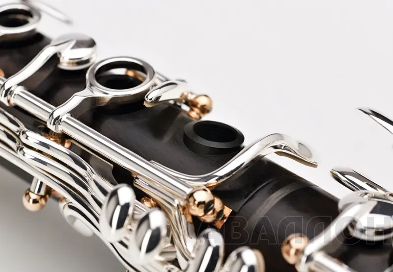 Увеличенное изображение 4