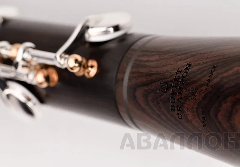 Увеличенное изображение 5