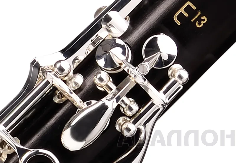 Увеличенное изображение 4