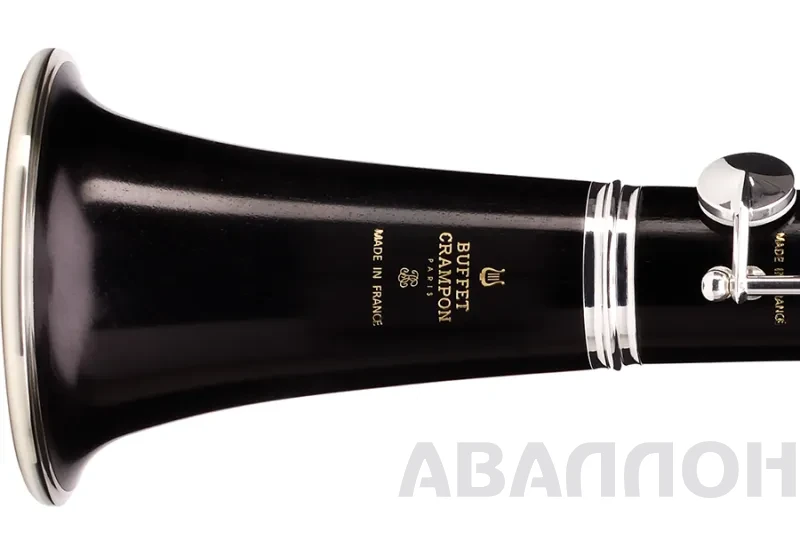 Увеличенное изображение 5