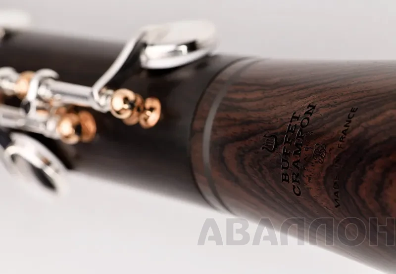 Увеличенное изображение 5