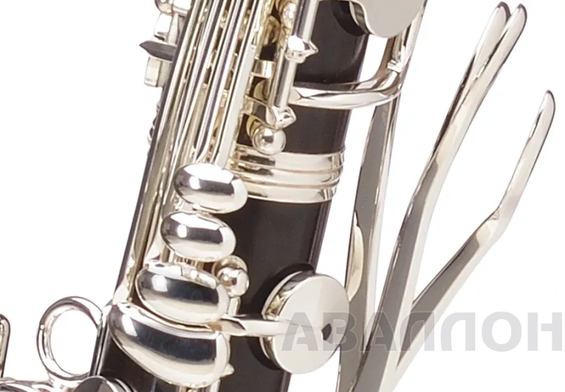 Увеличенное изображение 5