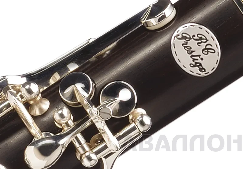 Увеличенное изображение 4