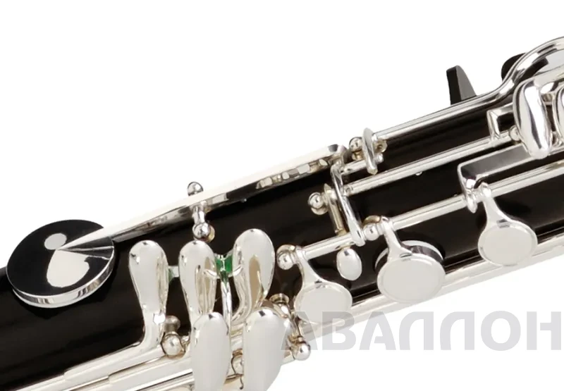 Увеличенное изображение 4