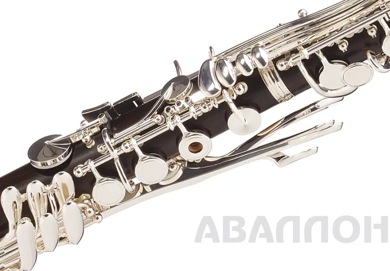 Увеличенное изображение 3