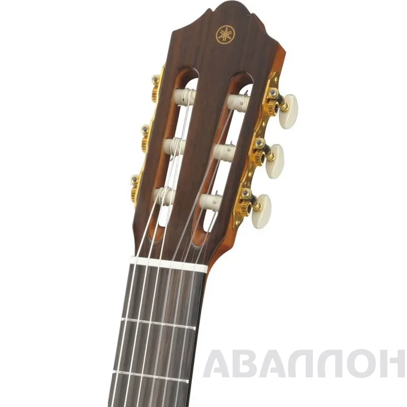 Увеличенное изображение 4